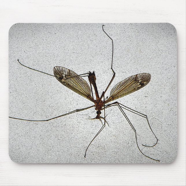 Crane Fly Insekt Mousepad Musmatta (Framsidan)