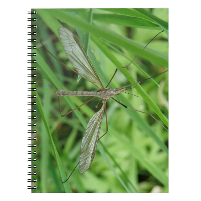 Crane Fly Notebook Anteckningsbok Med Spiral (Framsidan)