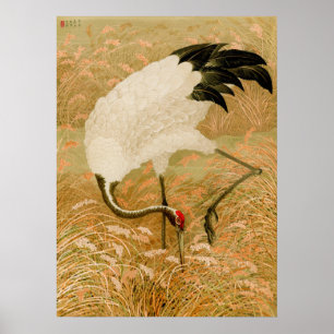 Crane i Ris Fält Poster