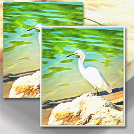 Crane on the Mismaloya River 0335 Art. Canvastryck