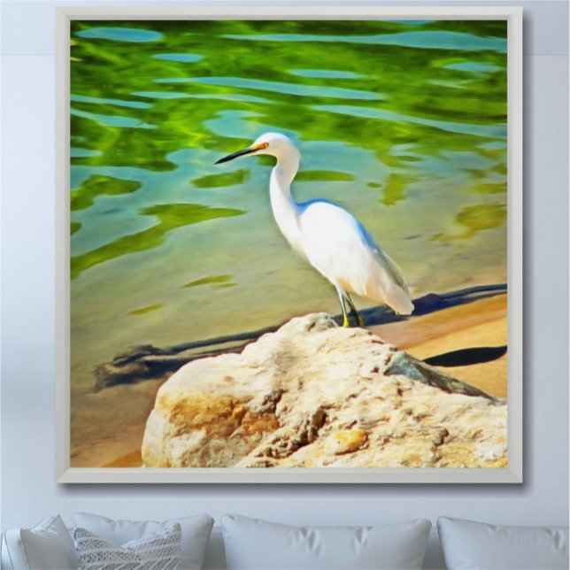 Crane on the Mismaloya River 0335 Art Print Poster (Skapare uppladdad)