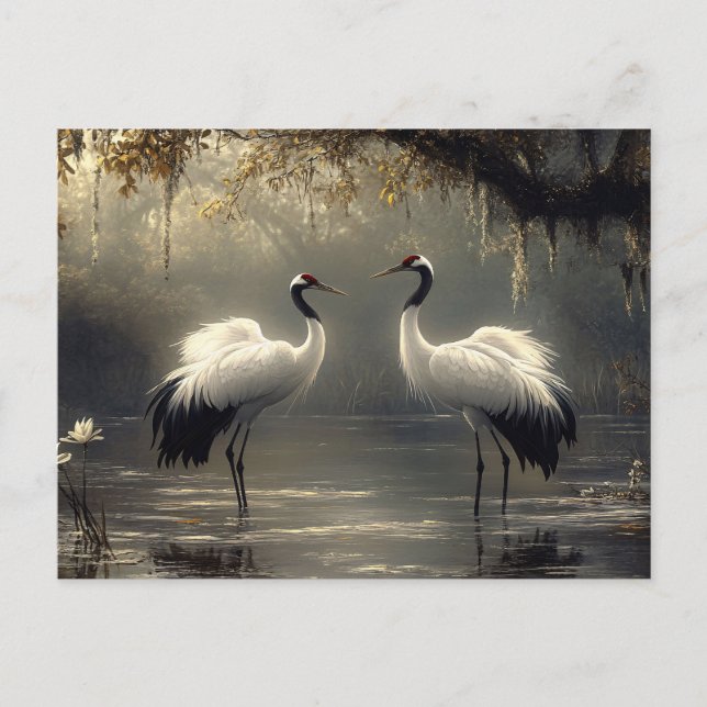 Crane Pair i Misty Marsh Vykort (Framsida)