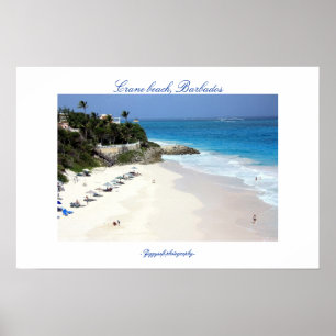 Crane-stranden poster