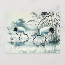 Cranes Foraging in Shallow Vatten Chinese Bläck Pa Vykort
