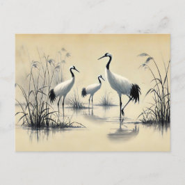 Cranes Foraging in Shallow Vatten Chinese Bläck Pa Vykort