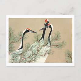 Cranes från Momoyogusa Vykort