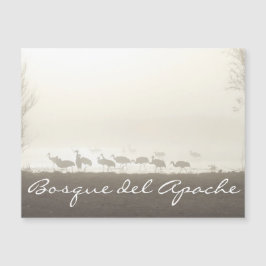 Cranes in the mist Bosque del Apache