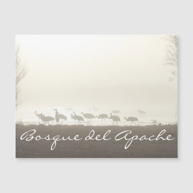 Cranes in the mist Bosque del Apache (Framsida)