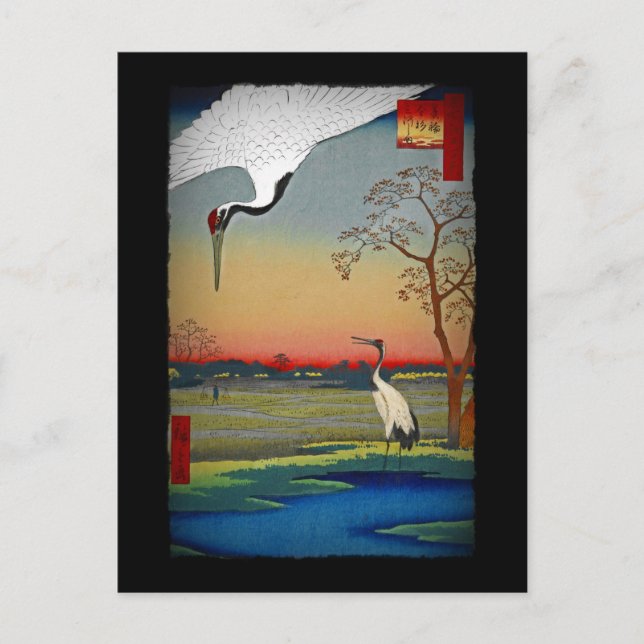 Cranes och Blue Vatten Vykort (Framsida)