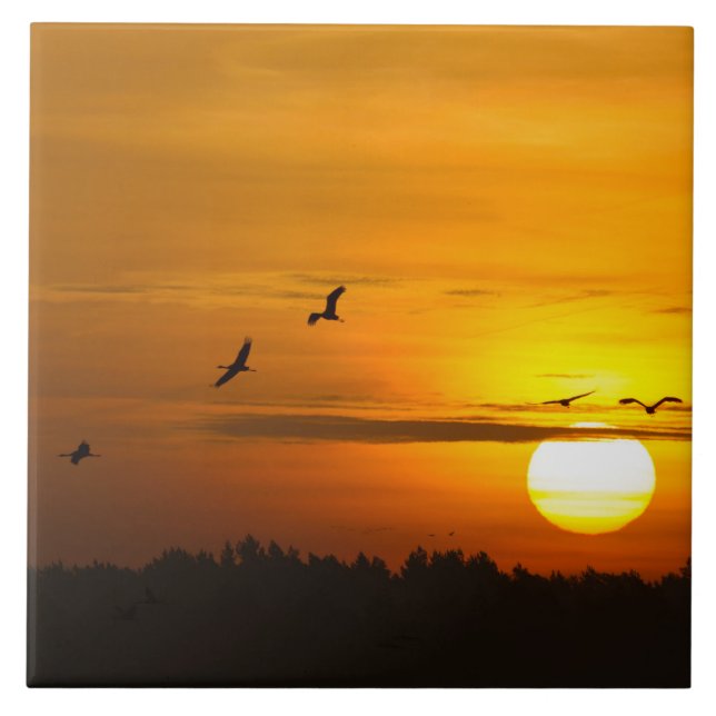 Cranes vid soluppgång kakelplatta (Framsidan)