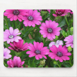 Cranesbill pelargon (rosablommor) Mousepad Musmatta