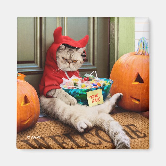 Cranky Djävulen Cat Magnet (Framsidan)