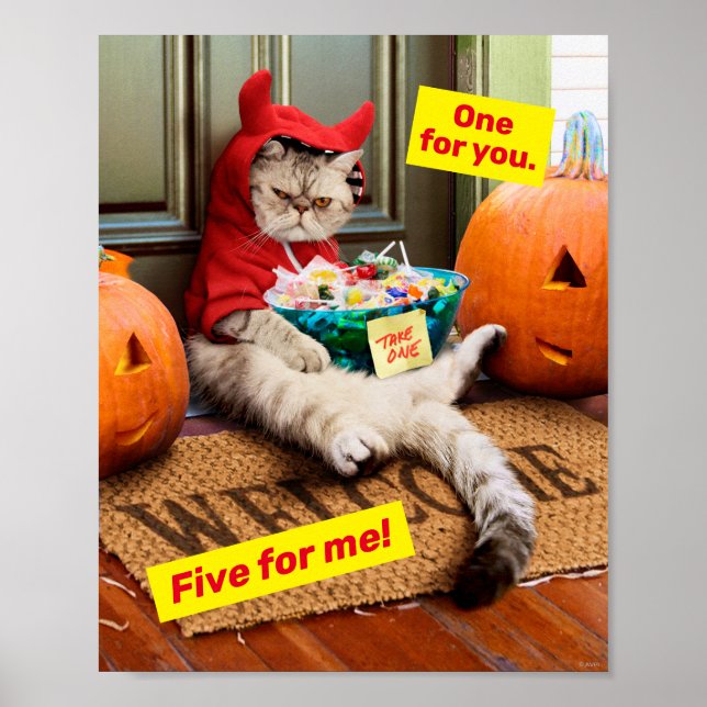 Cranky Djävulen Cat Poster (Framsidan)