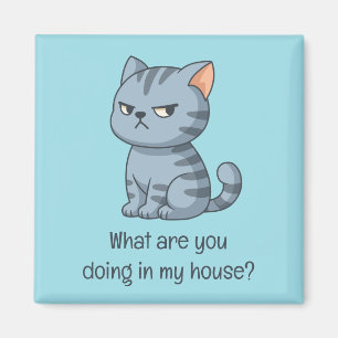Cranky Grå Tabby Katt Rolig Text Blå Magnet