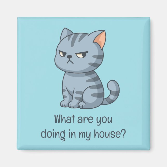 Cranky Grey Tabby Cat Funny Text Blue Magnet (Framsidan)