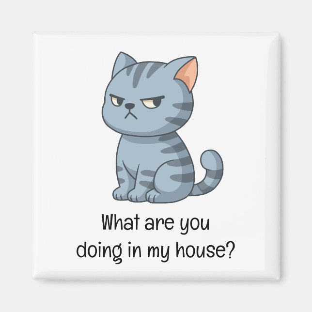 Cranky Grey Tabby Cat Funny Text Magnet (Framsidan)