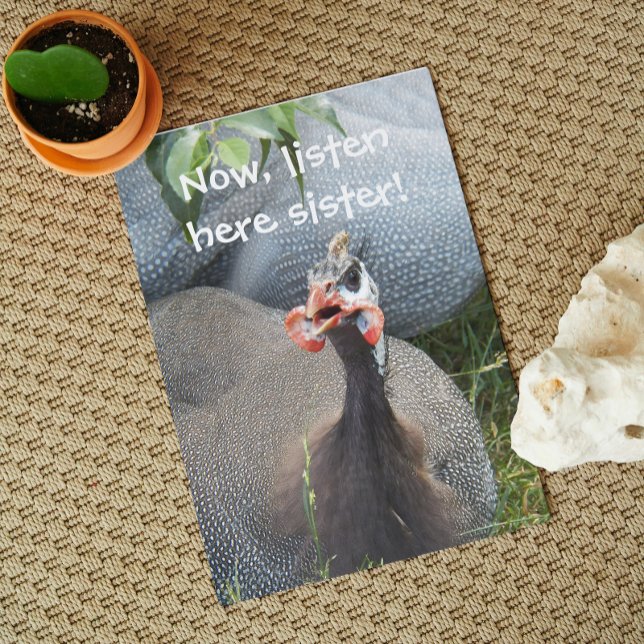 Cranky Guinea Fowl Photo Funny Birthday Kort (In Situ)