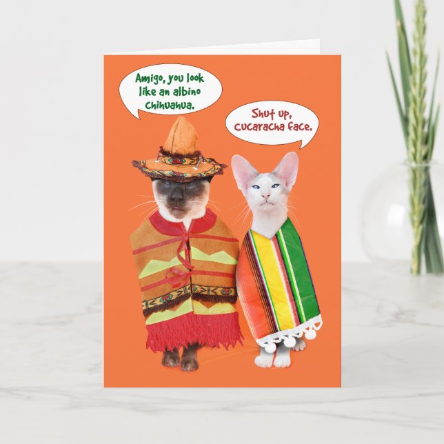 Cranky katt Cinco de Mayo Kort (Framsida)