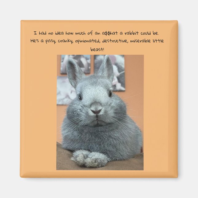 Cranky Rabbit Fridge Magnet (Framsidan)
