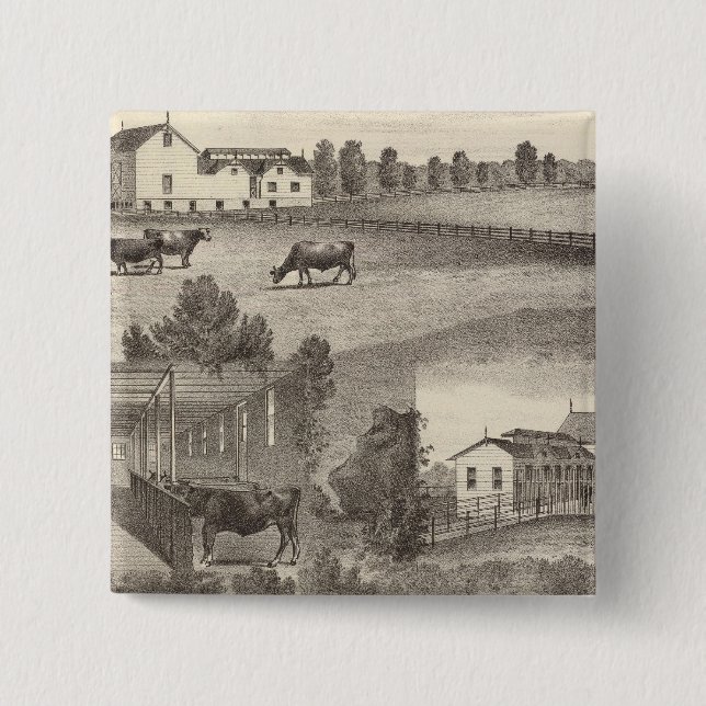 Cranmoor Farm, Toms River, NJ Knapp (Framsida)