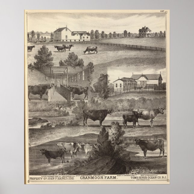 Cranmoor Farm, Toms River, NJ Poster (Framsidan)