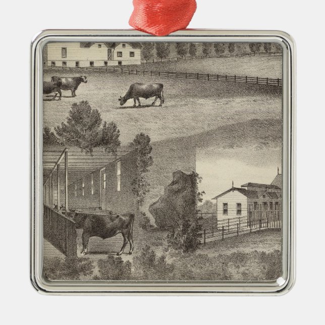 Cranmoor lantgård, Toms River, NJ Julgransprydnad Metall (Framsidan)