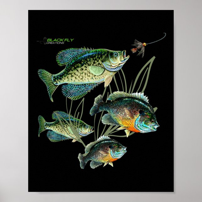 Crappie Bluegill Fishing Shirts Hoodies Black Fly  Poster (Framsidan)