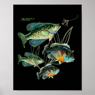Crappie Bluegill Fisketröjor Hoodies Svart Fluga Poster