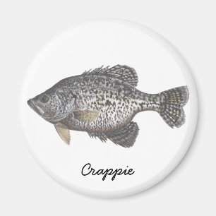 CRAPPIE Crappie Magnet