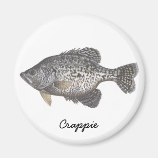 CRAPPIE Crappie Magnet