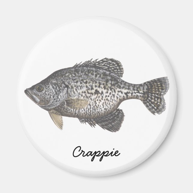 CRAPPIE Crappie Magnet (Framsidan)
