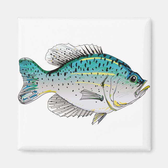 Crappie Magnet (Framsidan)