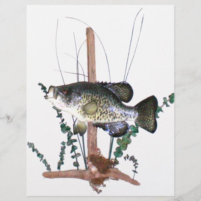 Crappie-montering (Framsida)