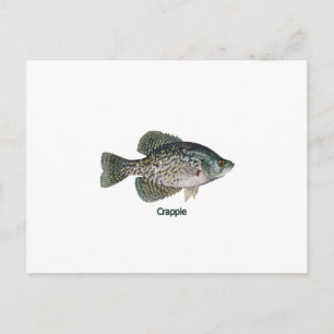 Crappie (titled) vykort