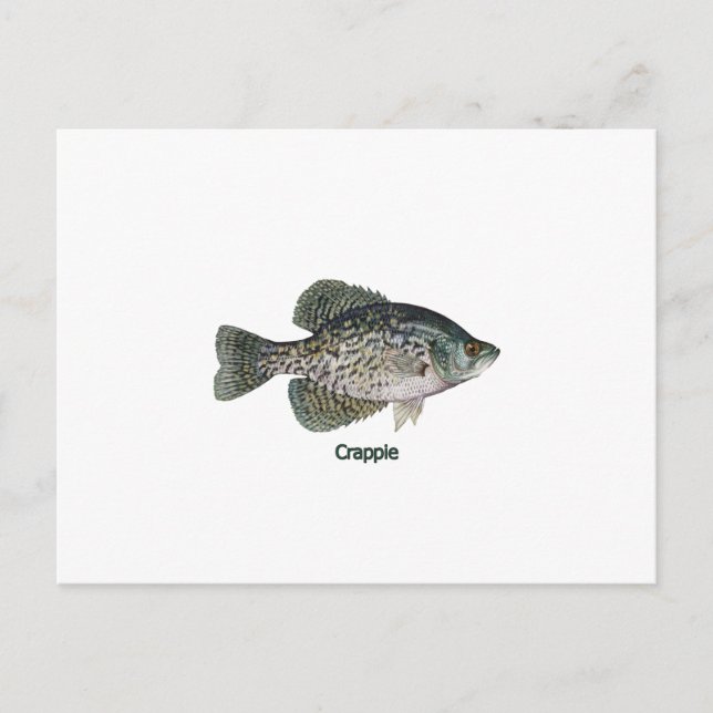 Crappie (titled) vykort (Framsida)
