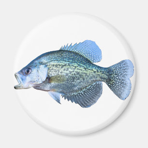 Crappiefiske Magnet