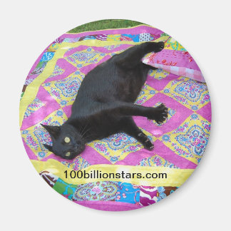 Crased Quilt Cat Magnet