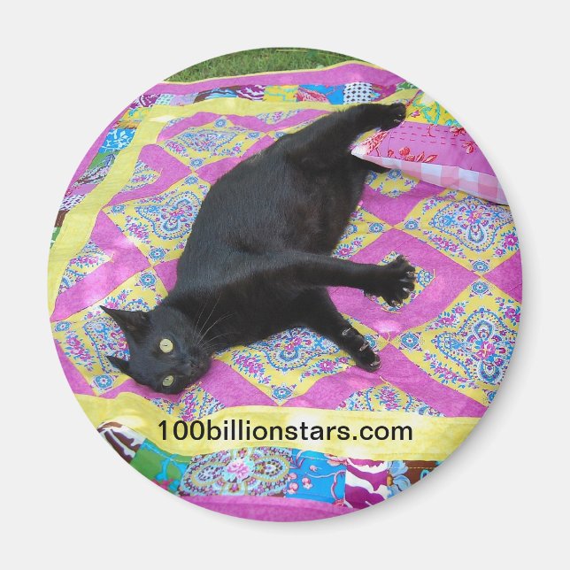 Crased Quilt Cat Magnet (Framsidan)