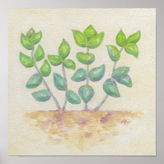 Crassula-konstutskrift Poster