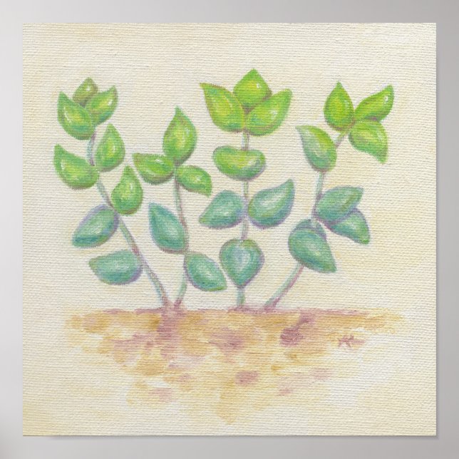 Crassula-konstutskrift Poster (Framsidan)