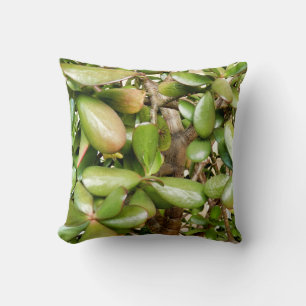 Crassula ovata Throw Cushion Kudde