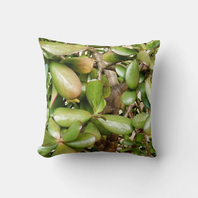 Crassula ovata Throw Cushion Kudde (Framsida)