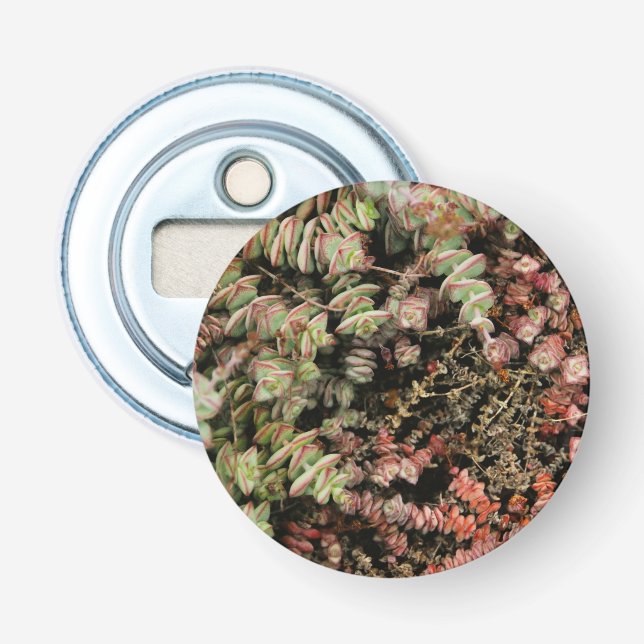 Crassula perforata flasköppnare (Framsidan)