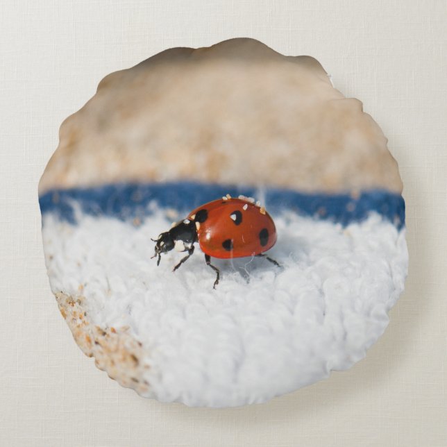 Crawling ladybug rund kudde (Baksidan)