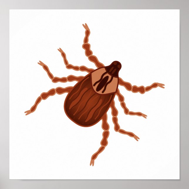 Crawly Realistic Tick Illustration Poster (Framsidan)