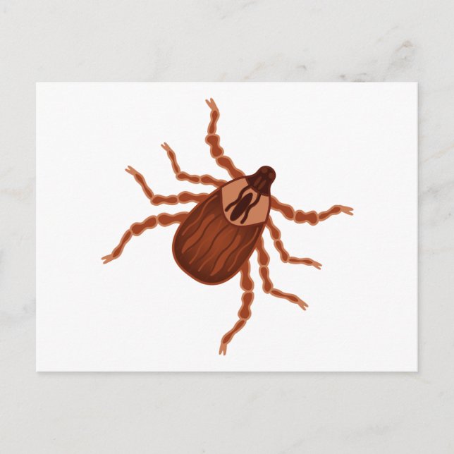 Crawly Realistic Tick Illustration Vykort (Framsida)