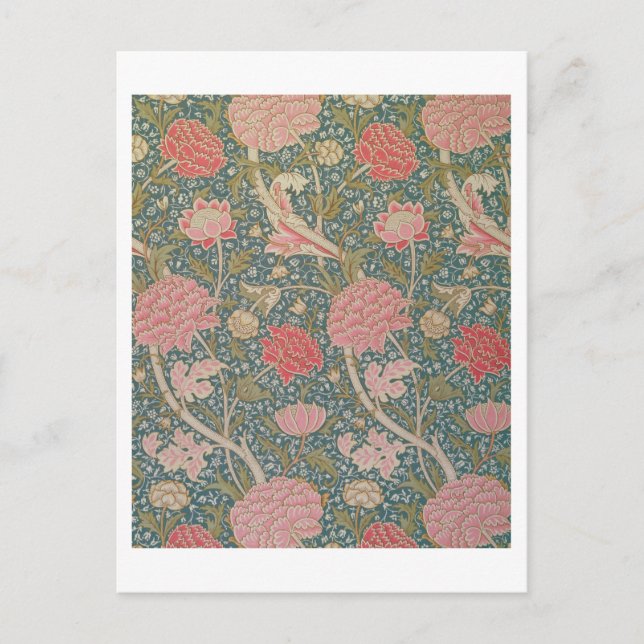 "Cray", 1884 Vykort (Framsida)