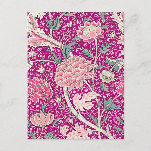 Cray in Rosa Vykort (Framsida)