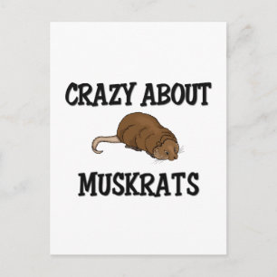 Crazy about Muskrats Vykort