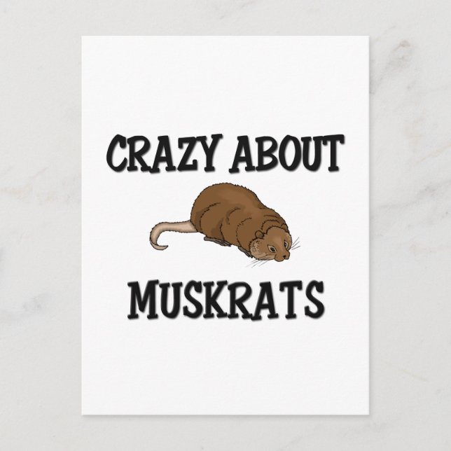 Crazy about Muskrats Vykort (Framsida)